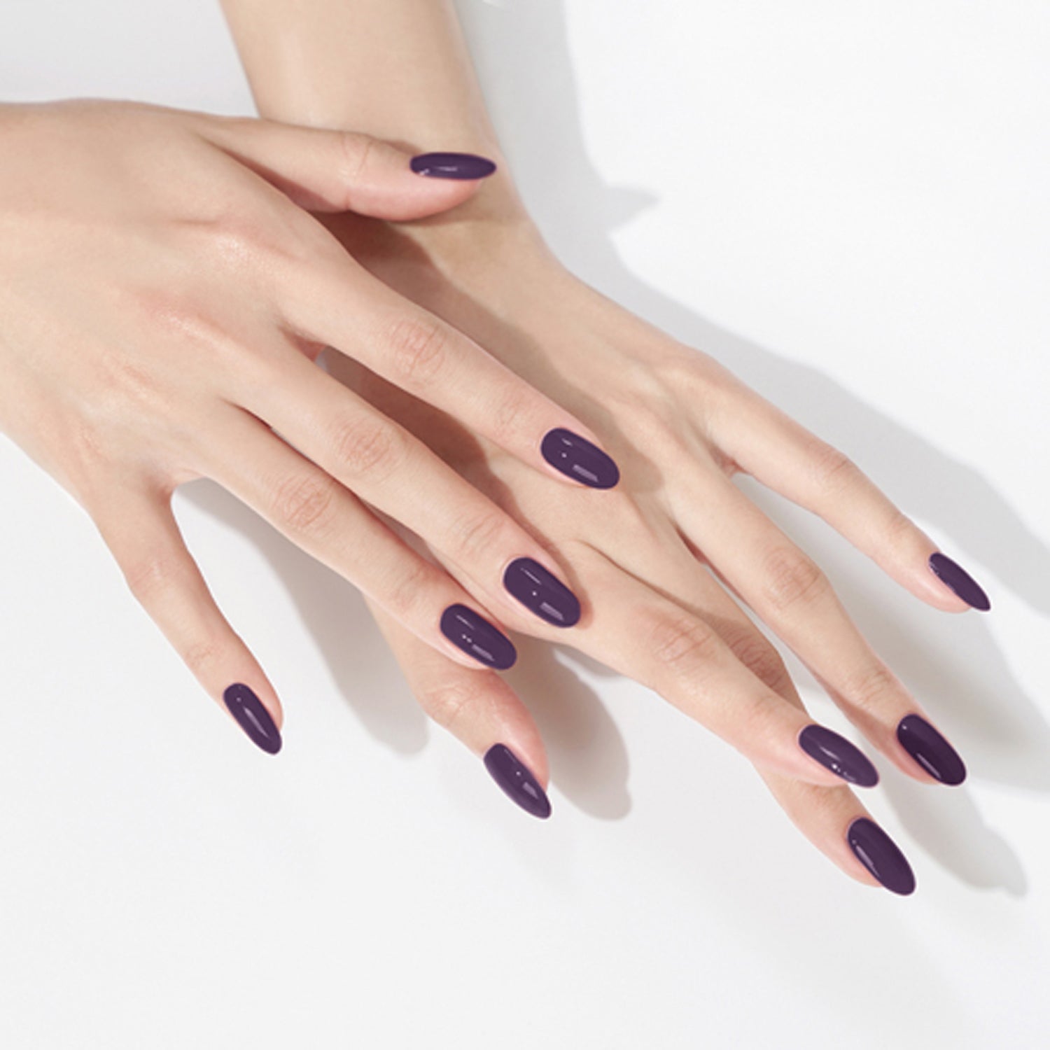 W12 Queen Violet