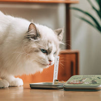 [Gift Packaging] OPTATUM Cat Paper Incense & Catnip Toy Gift Set