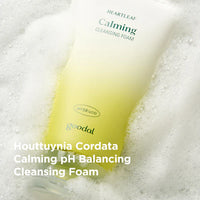 goodal Houttuynia Cordata Calming PH Balancing Cleansing Foam 150ml
