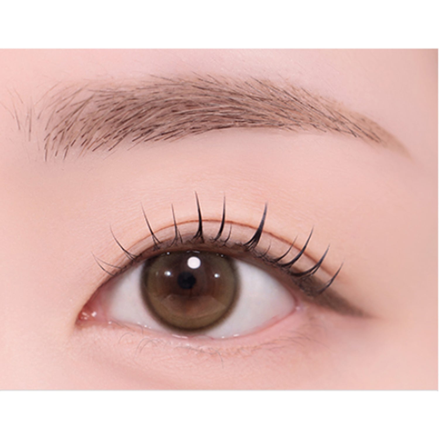 02 Taupe Brown