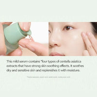 (Matthew) Dewytree Heartleaf 100 Serum 40ml - DODOSKIN