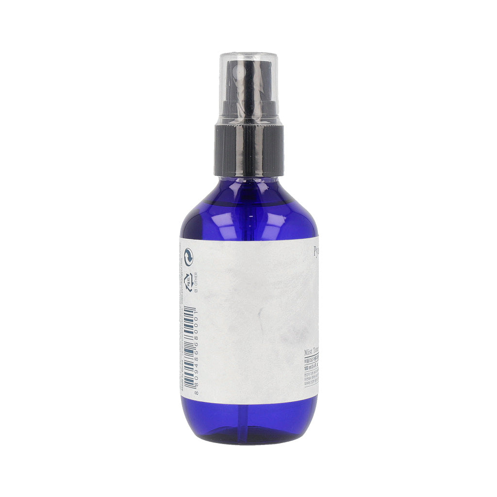 [US Exclusive] Pyunkang Yul Mist Toner 100ml - Dodoskin